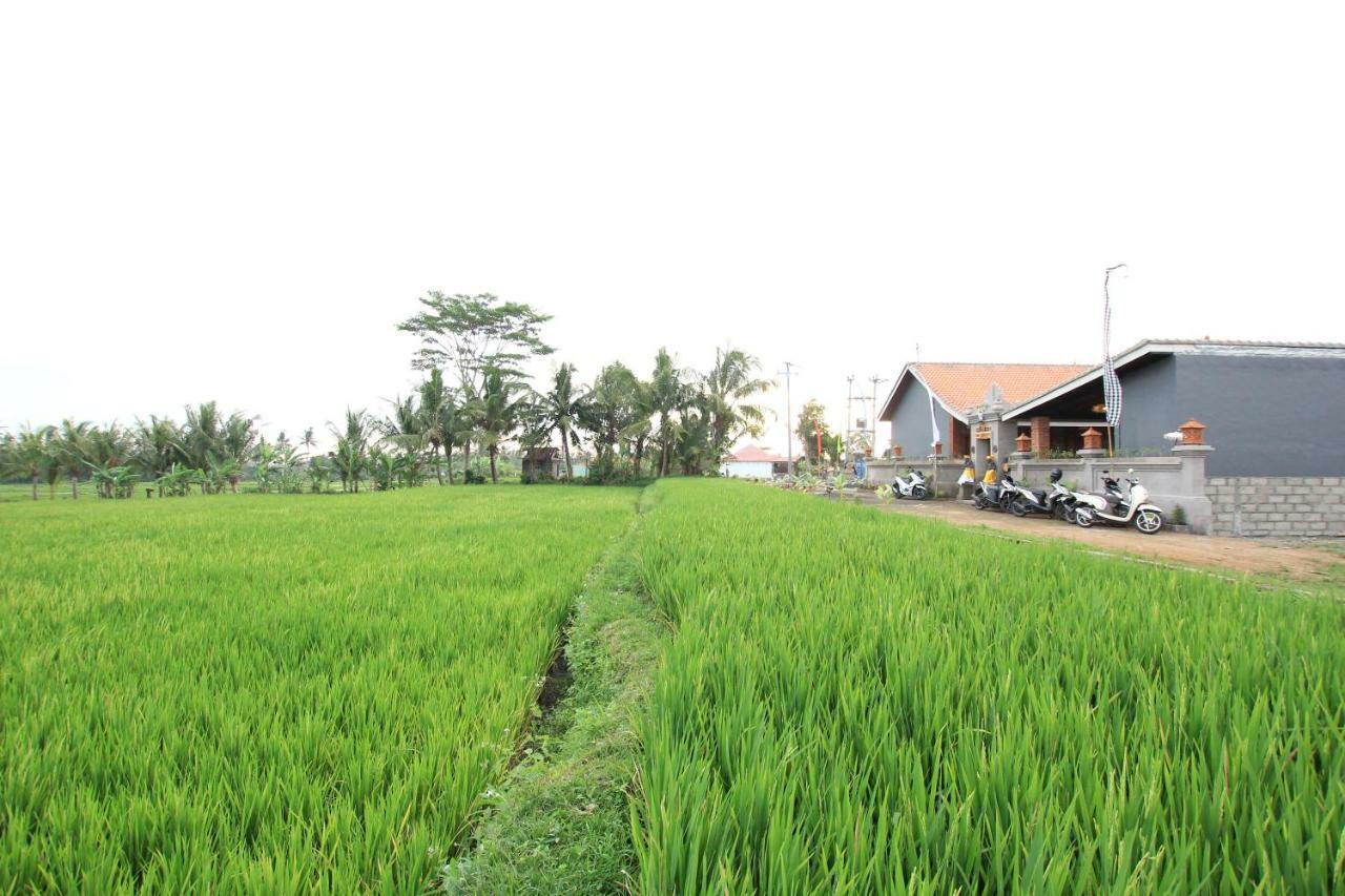Ayuna Family Ubud Esterno foto