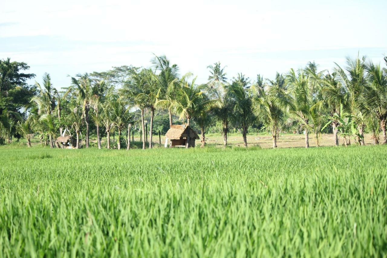 Ayuna Family Ubud Esterno foto